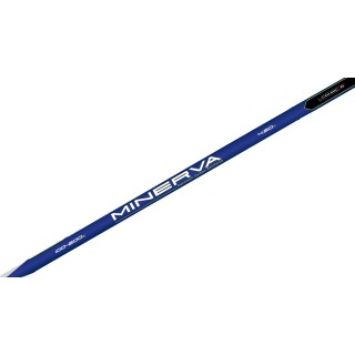 canna da pesca colmic minerva mt 420 100\200g