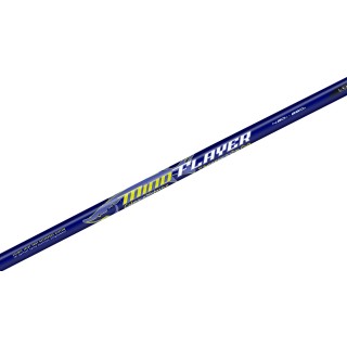 canna da pesca per storioni mt 420 250g